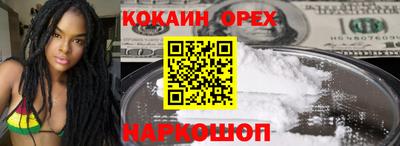 крисы Кулебаки