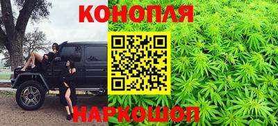 крисы Кулебаки