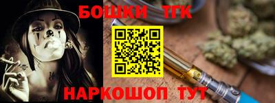 крисы Кулебаки