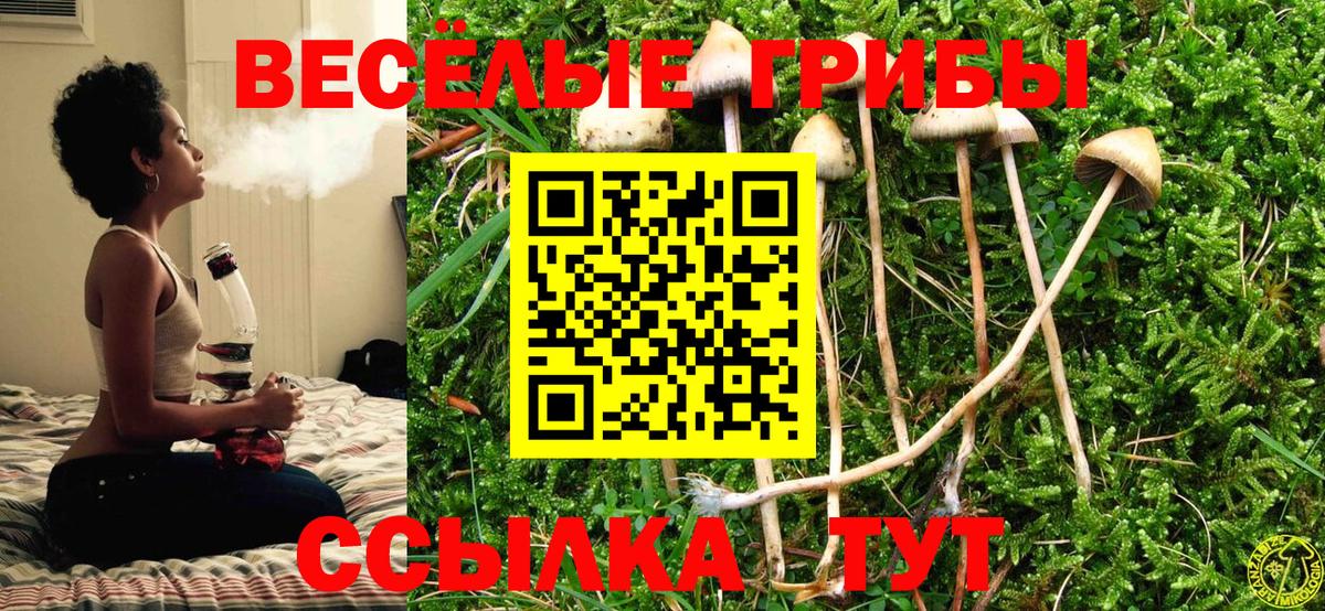 Псилоцибиновые грибы мухоморы Еманжелинск